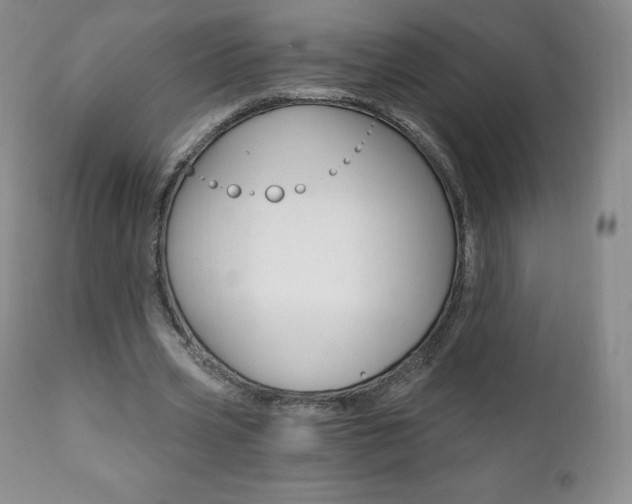 X0000112000533200908031049