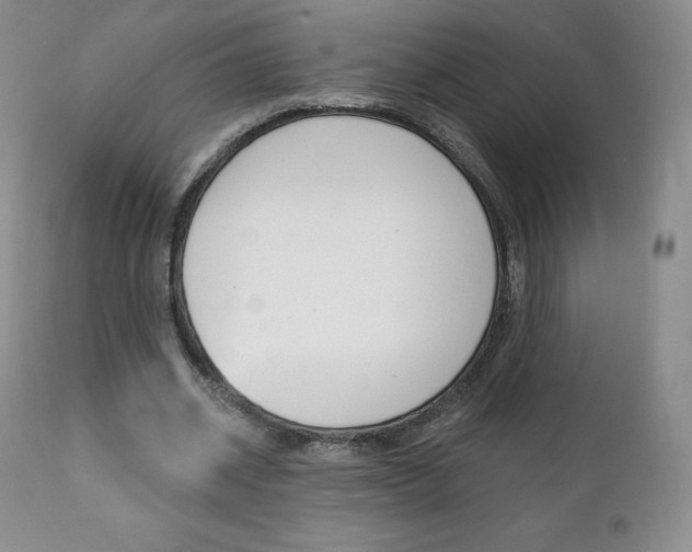 X0000112000534200908031049