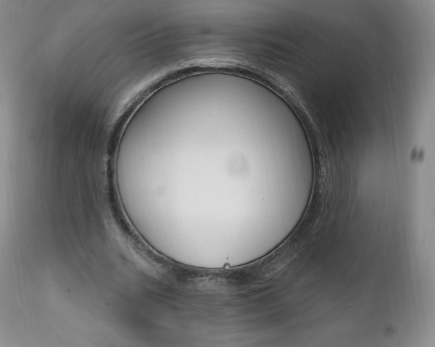 X0000112000535200908031049
