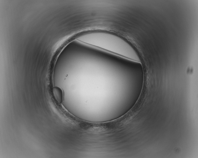 X0000112000536200908031049