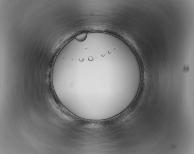 X0000112000537200908031049