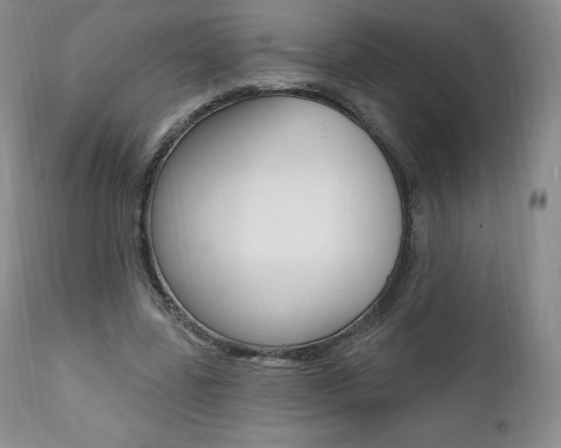 X0000112000539200908031049