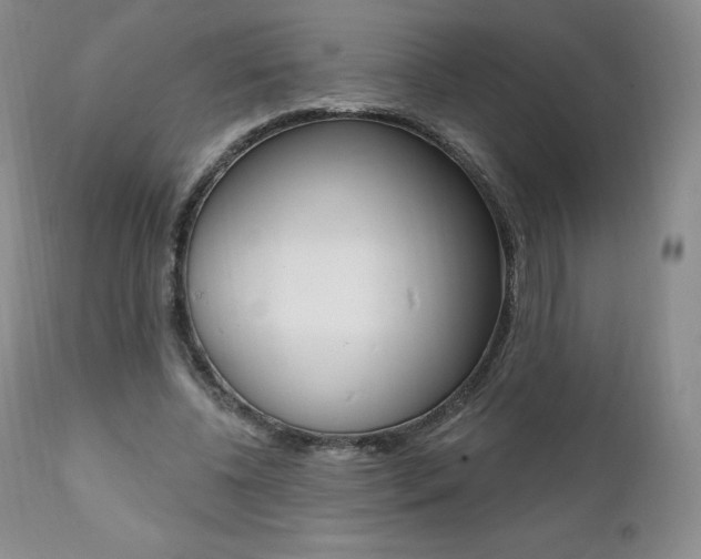 X0000112000540200908031049