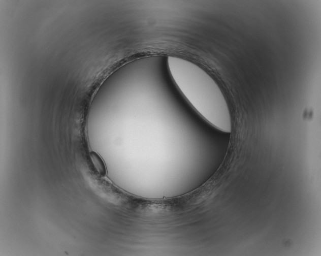 X0000112000546200908031049