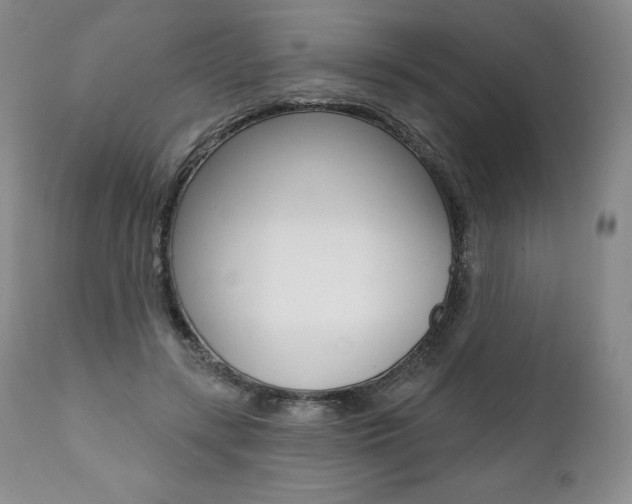 X0000112000547200908031049