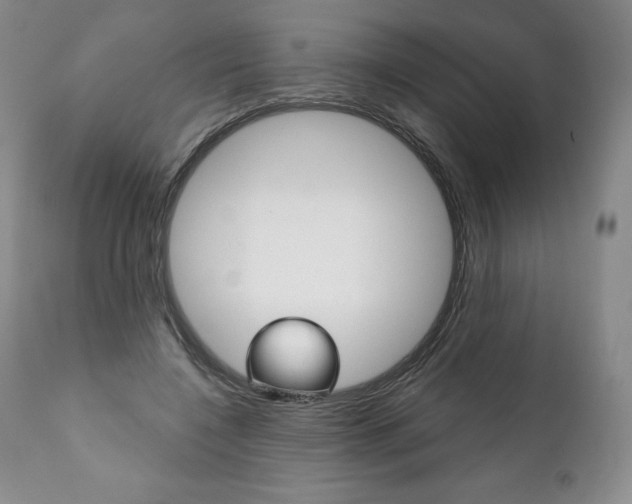 X0000112000548200908031049