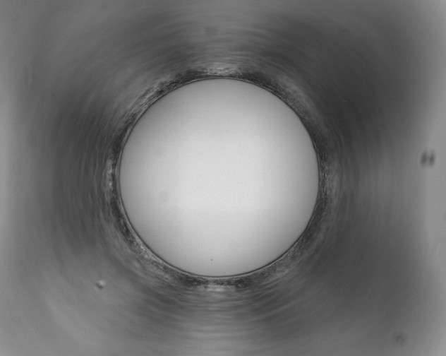 X0000112000549200908031049