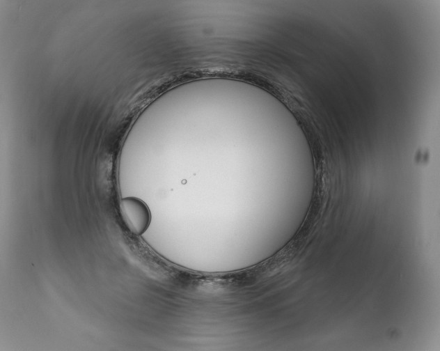 X0000112000550200908031049