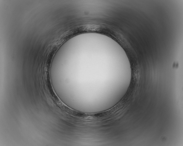 X0000112000551200908031049