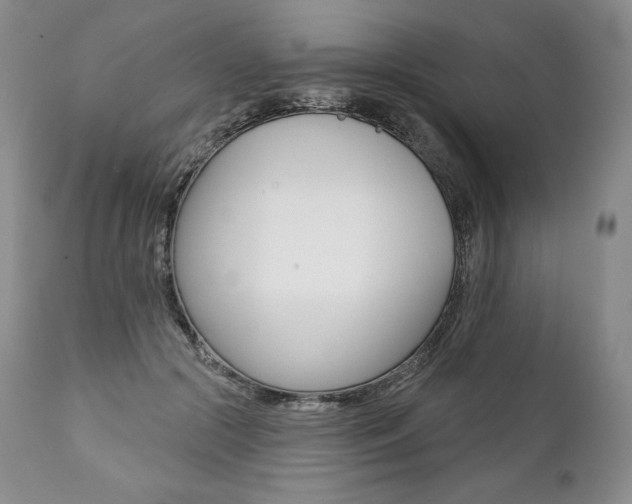 X0000112000553200908031049