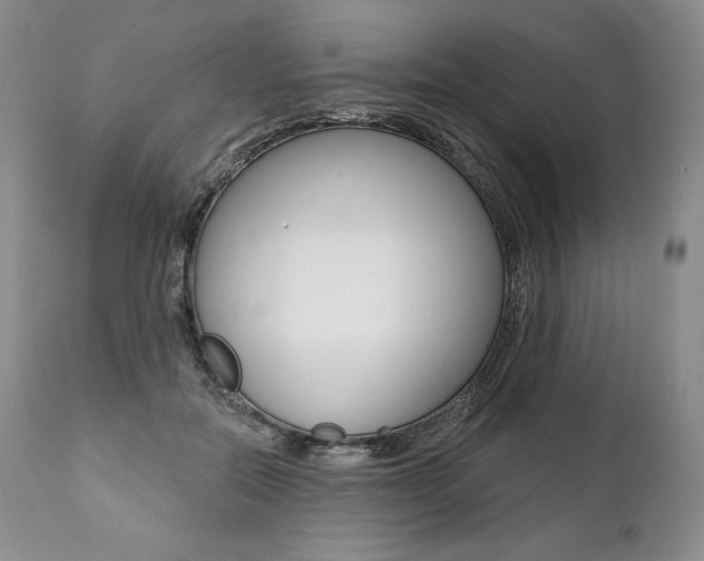 X0000112000554200908031049