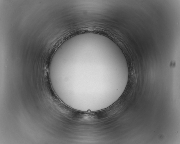 X0000112000555200908031049