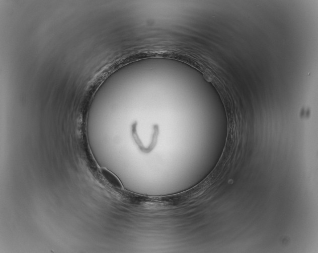 X0000112000556200908031049
