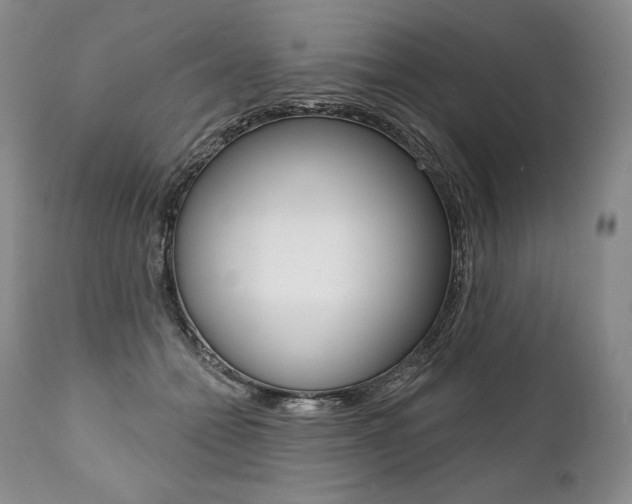 X0000112000558200908031049