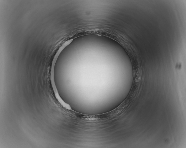 X0000112000560200908031049