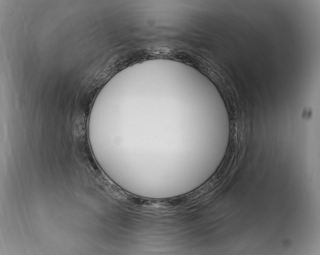 X0000112000561200908031049