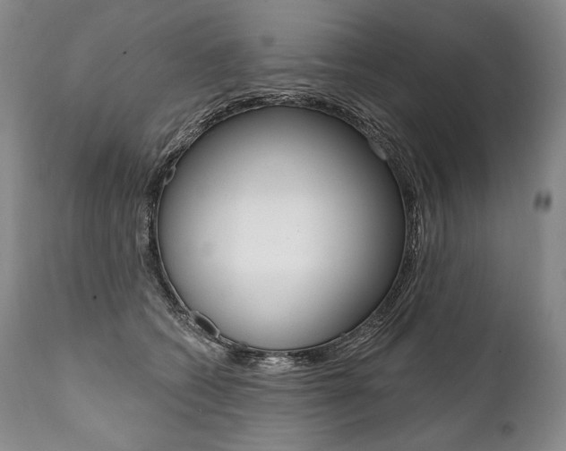 X0000112000562200908031049