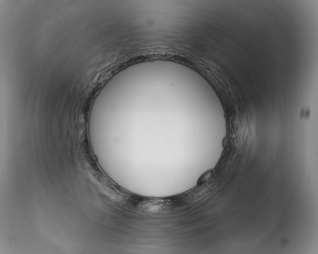 X0000112000563200908031049