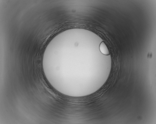 X0000112000564200908031049