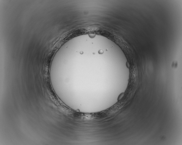 X0000112000565200908031049
