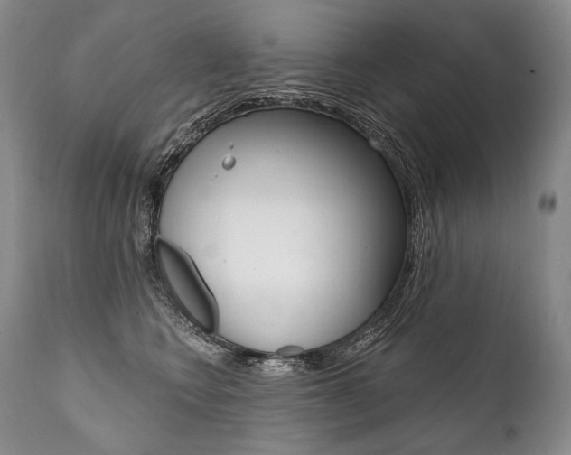 X0000112000566200908031049
