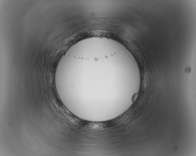 X0000112000569200908031049