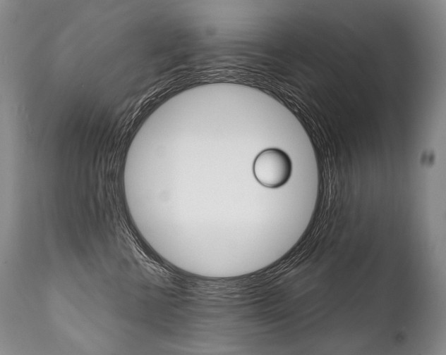 X0000112000570200908031049
