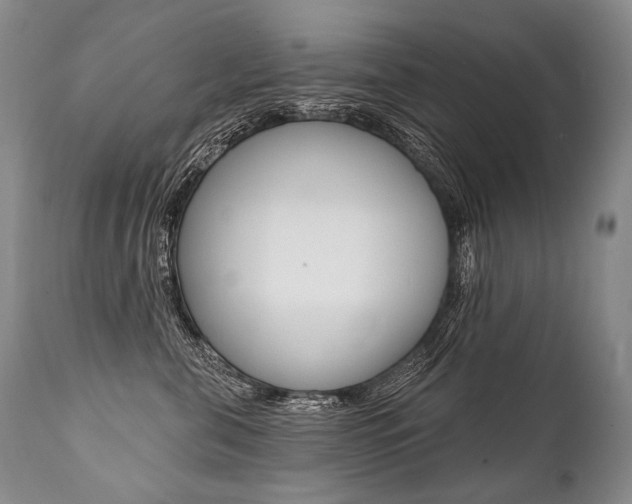 X0000112000571200908031049