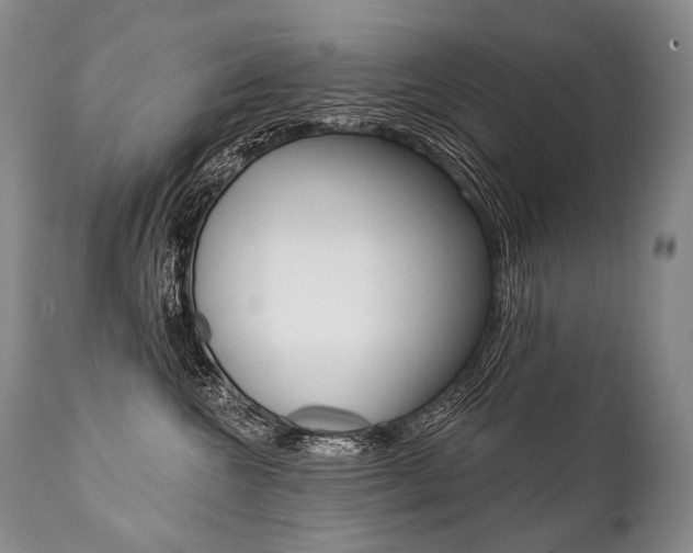 X0000112000572200908031049