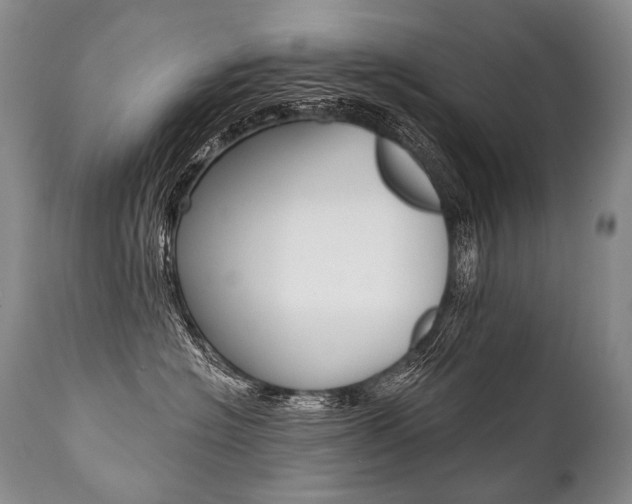 X0000112000574200908031049