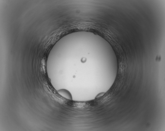 X0000112000575200908031049