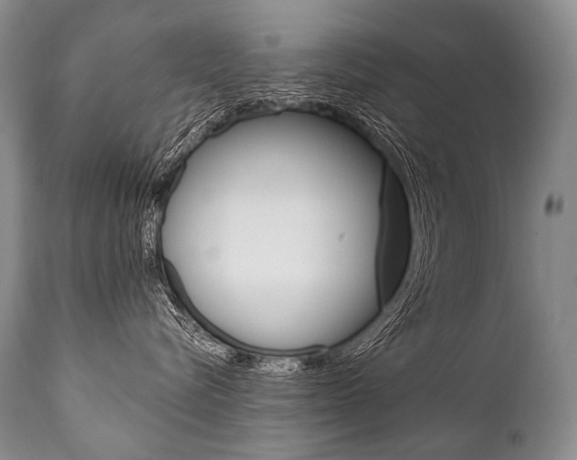 X0000112000576200908031049