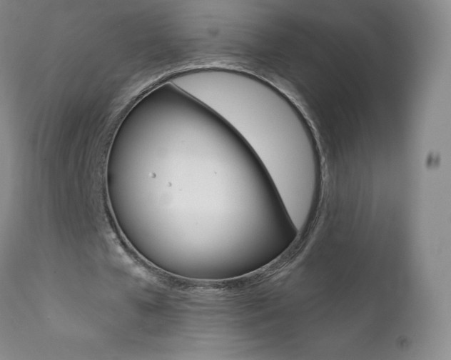 X0000112000577200908031048
