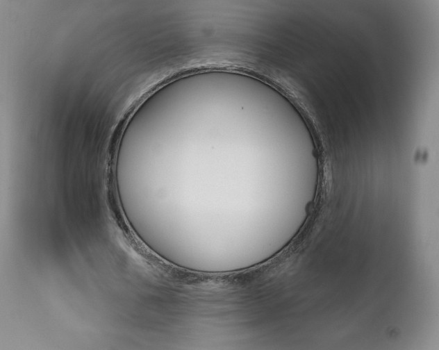 X0000112000578200908031048