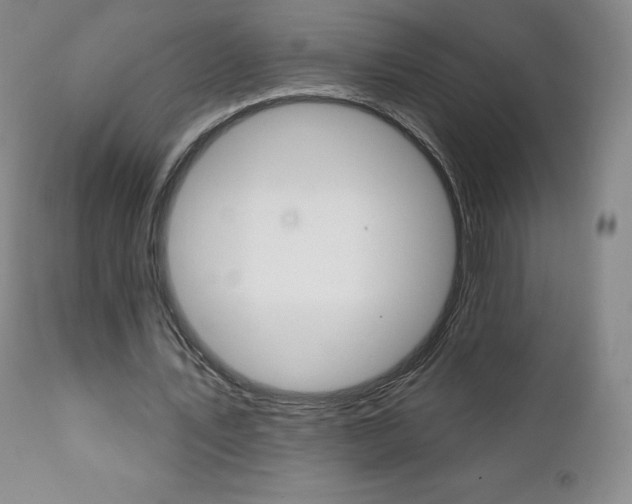 X0000112000579200908031048