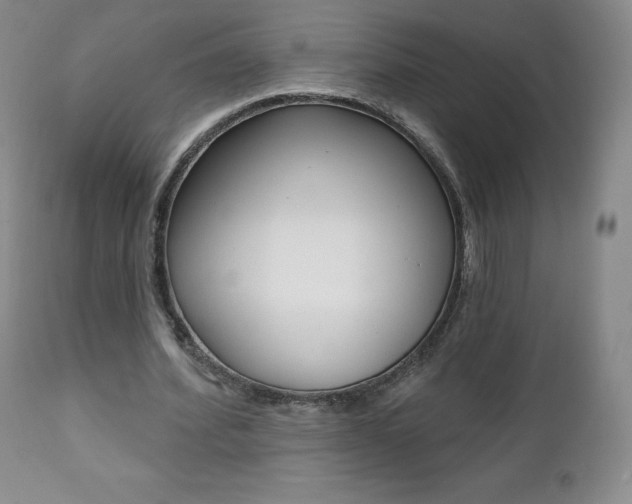 X0000112000580200908031048