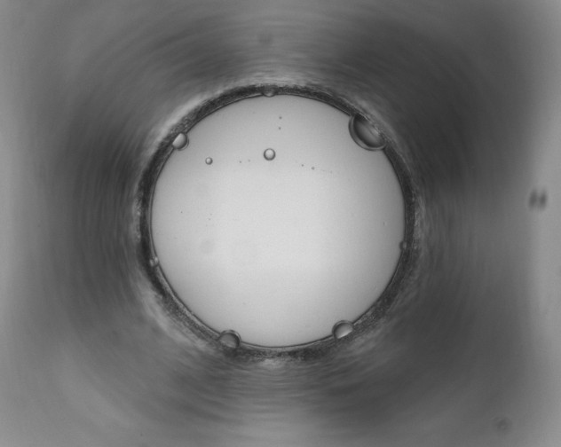 X0000112000584200908031048