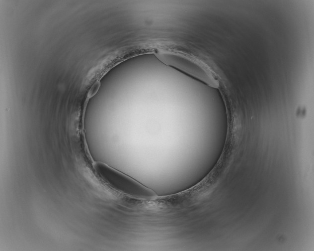 X0000112000585200908031048