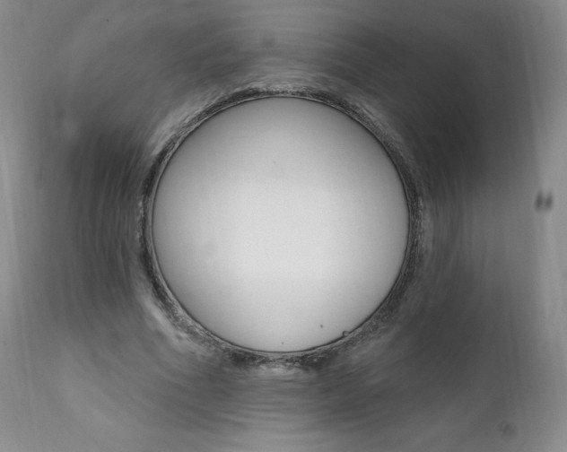 X0000112000586200908031048