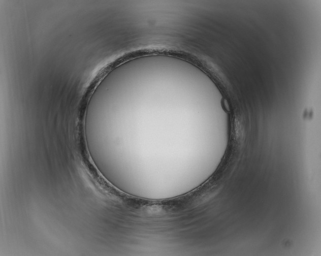 X0000112000588200908031048