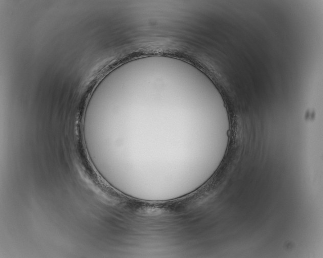 X0000112000590200908031048