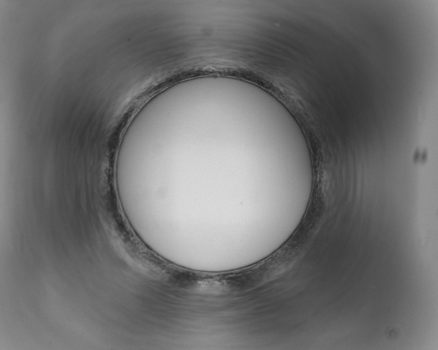 X0000112000591200908031048