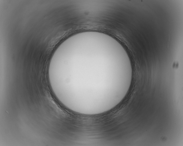 X0000112000593200908031048