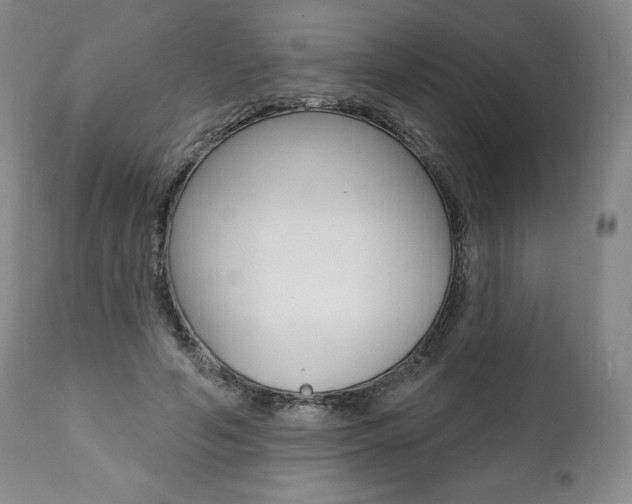 X0000112000594200908031048
