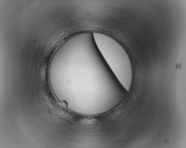 X0000112000595200908031048