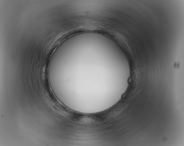 X0000112000596200908031048