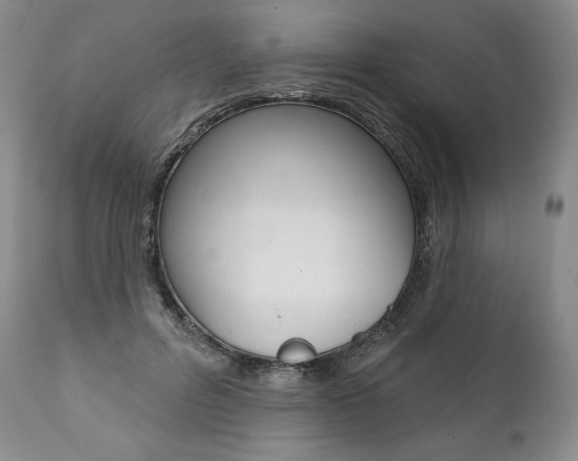 X0000112000600200908031048