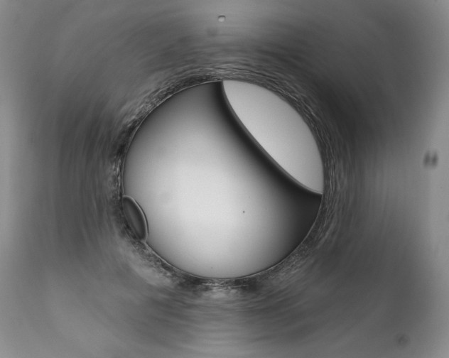 X0000112000601200908031048