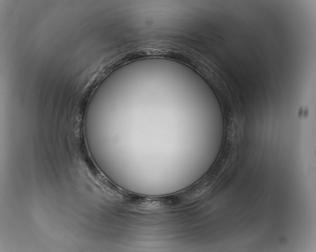 X0000112000604200908031048