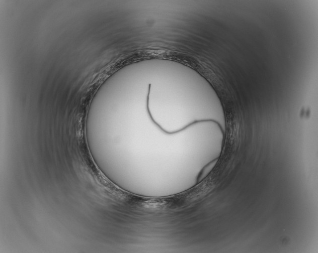 X0000112000606200908031048